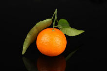 tangerine-220x147.jpg
